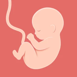 Ícone de HiMommy: Minha Gravidez